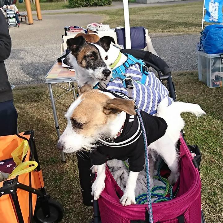 B71f74cd 6444 4eb7 9e48 3d07d6070b6a 1573997712353