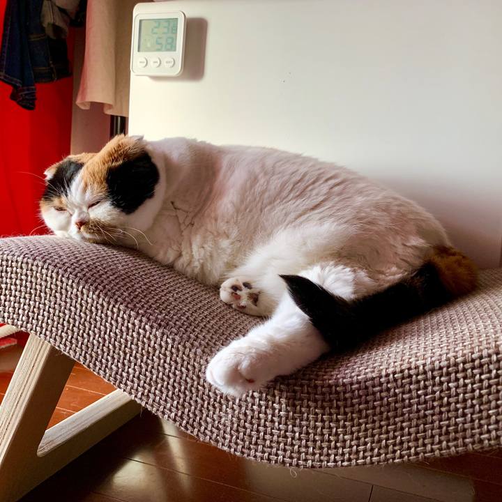 B71f7cfb 2849 44ea a86d 243b9d9bf651 1566421315247