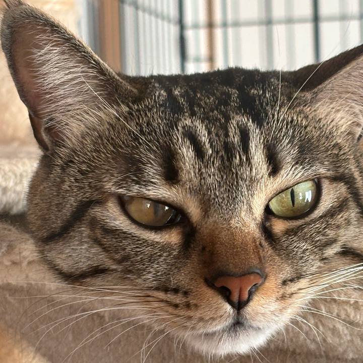 B71f7e8f 8d22 4b07 8eca 4f25997345db 1768005788998