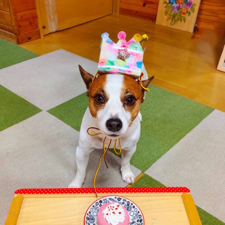 B71f8cc2 1488 49f1 b113 454b231806ce 1564232216150