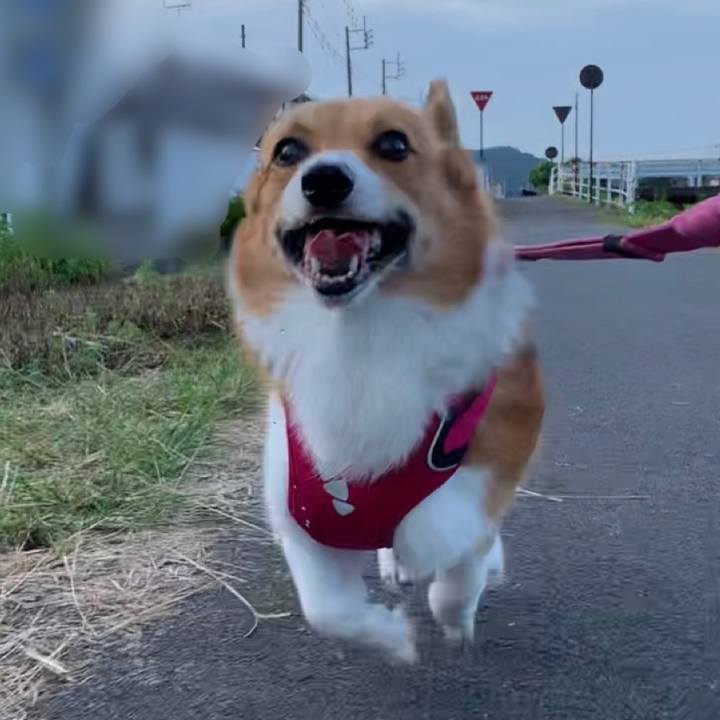 B71fa917 7994 4c59 b0b1 d5df343fefb5 1663021851482