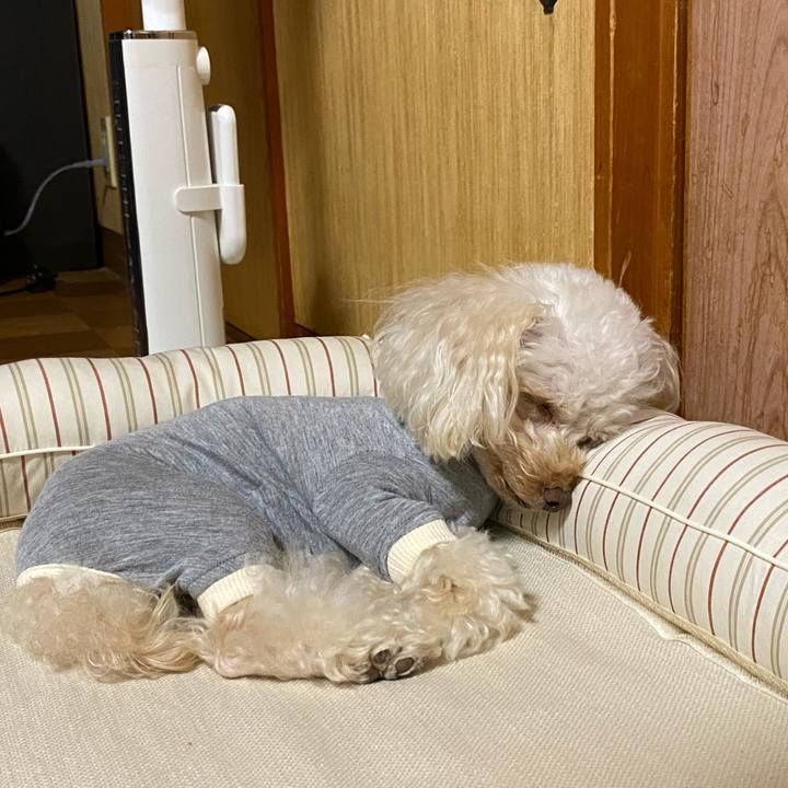 B71fb63d 81be 41d8 ba6b 675328ce227d 1628252795404