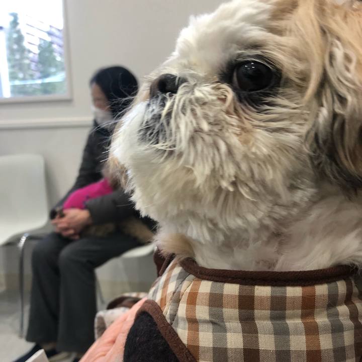 B71fbd3d 9191 4a61 8040 4e5731c8c425 1551649345781