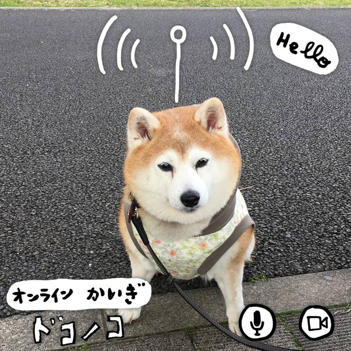 B71fc2aa dca1 4b23 bf5b d7d243126816 1591611305206