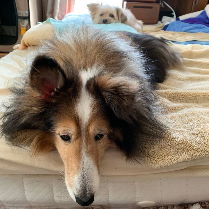 B71fd0f9 39c1 46ed b30a fbefa4062a4e 1585361195207