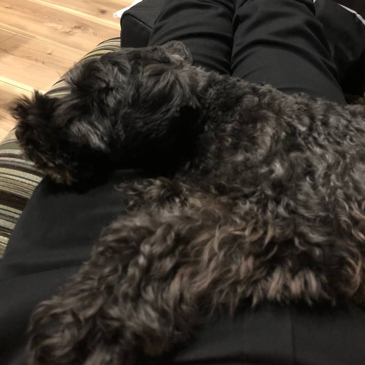 B71fd194 1403 4924 b8bc c388a60e8e68 1574682856309