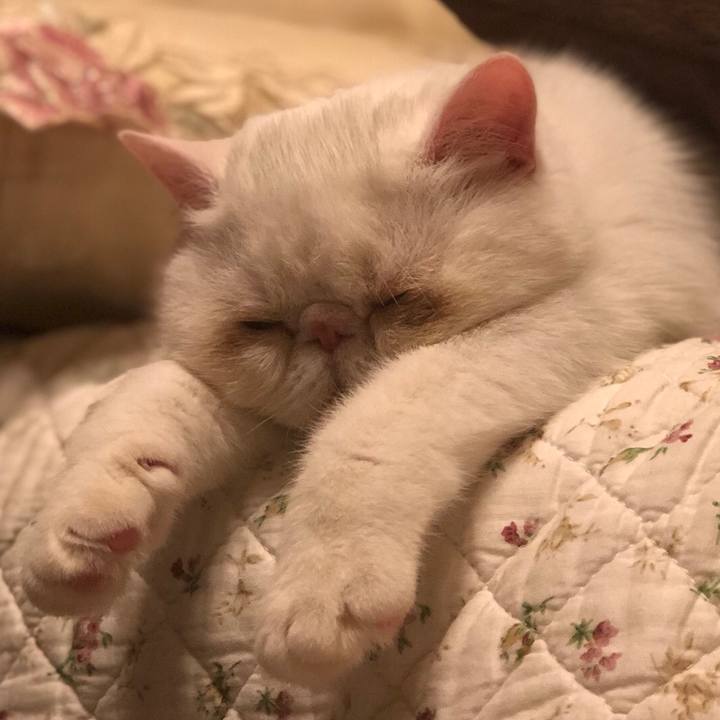 B71ff65a 1e98 45ec a67b b7ff1f52d72b 1558015964972