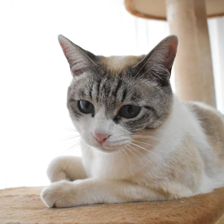 B7204927 fde5 43f4 a7b1 de25aa512d3b 1557651172041