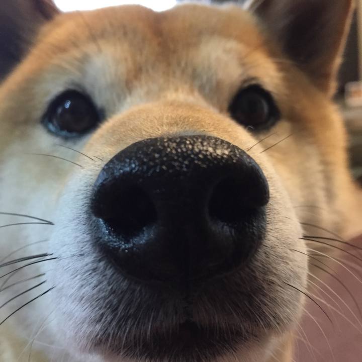 B7204b18 2c6d 40fb 9baa dabb1cf394ee 1524407244951