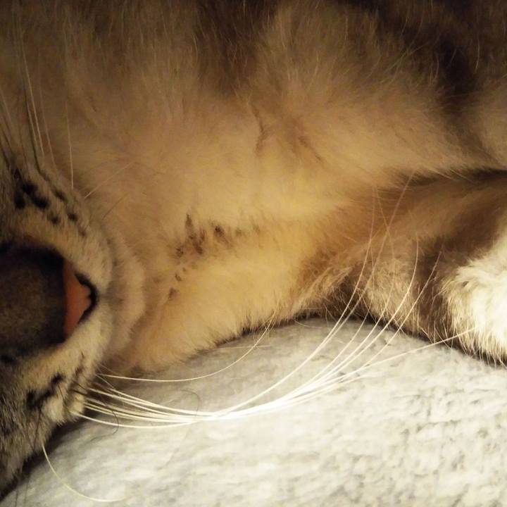 B72063cd a360 4f20 88c7 c8e8f28b81f5 1584710553860