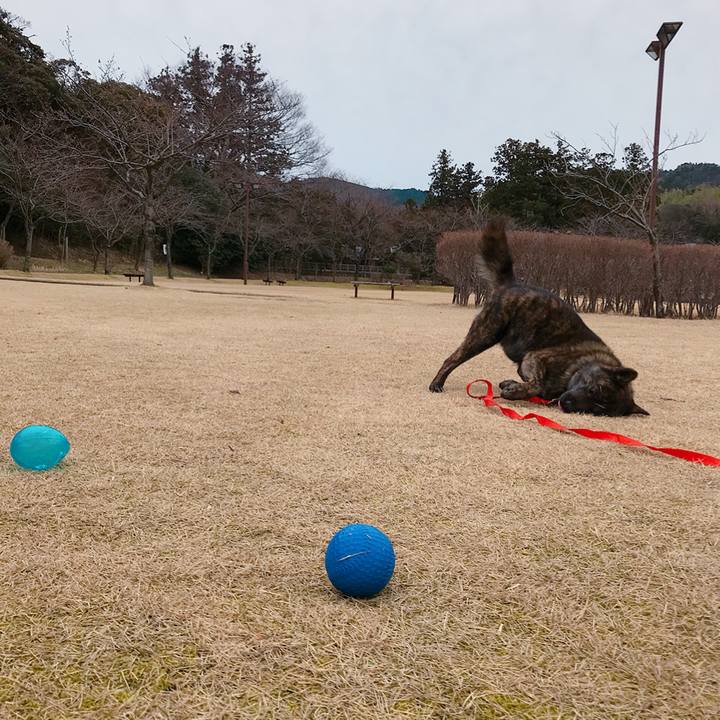 B7206fc6 621d 415c 80b6 832797245852 1521587323542