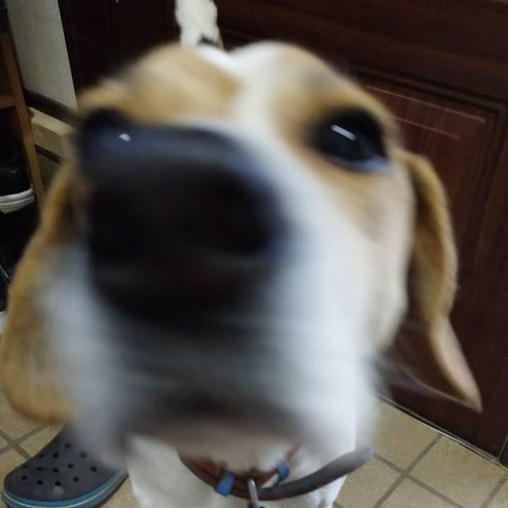 B7209c27 f68a 4151 bb5f 7f66898c6a2e 1612775365566