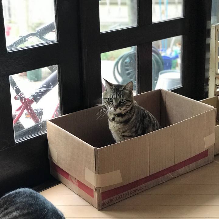 B720ddb9 47b8 4d53 9b3d c2530876176c 1522972379983