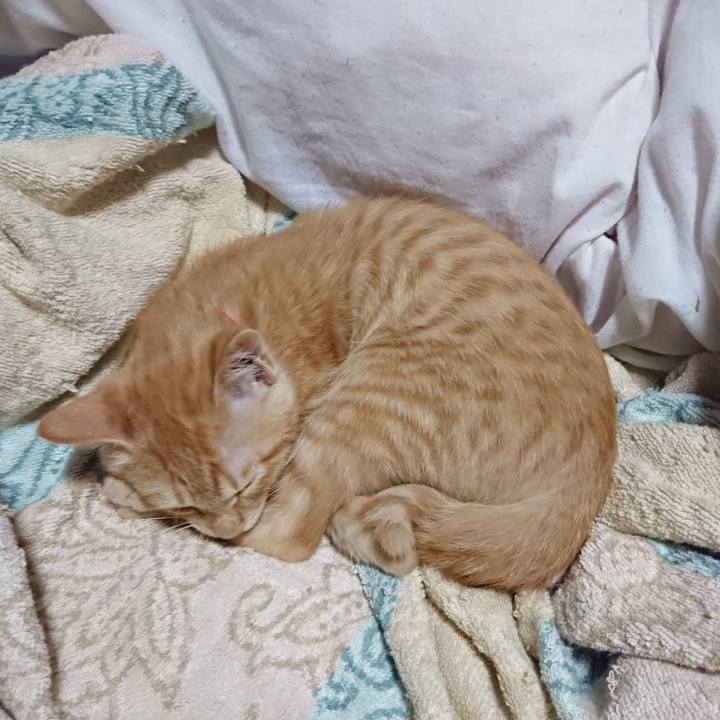 B720de60 5955 49ea b15d f5ab76ac91a6 1632659647439