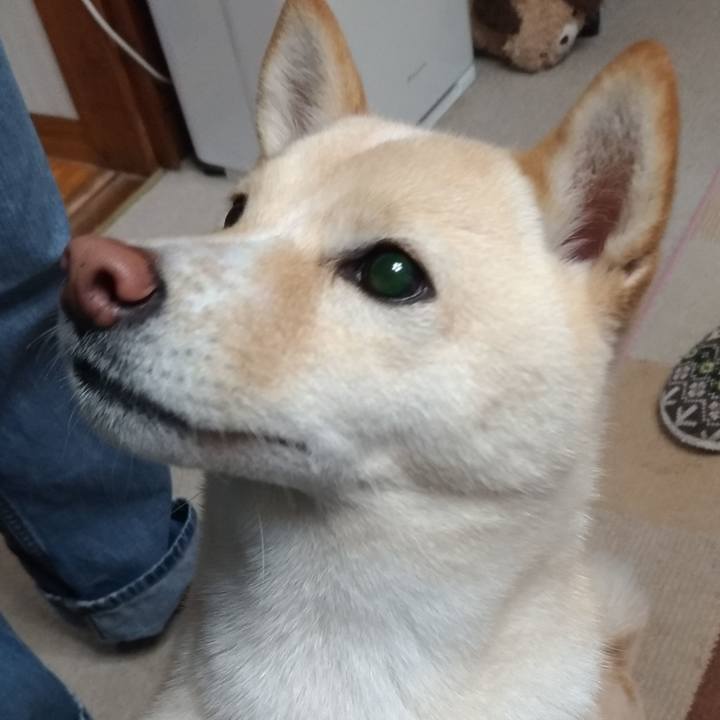 B7212ce9 5ffd 4bb3 ab2c 4ea5085264f5 1575065758486