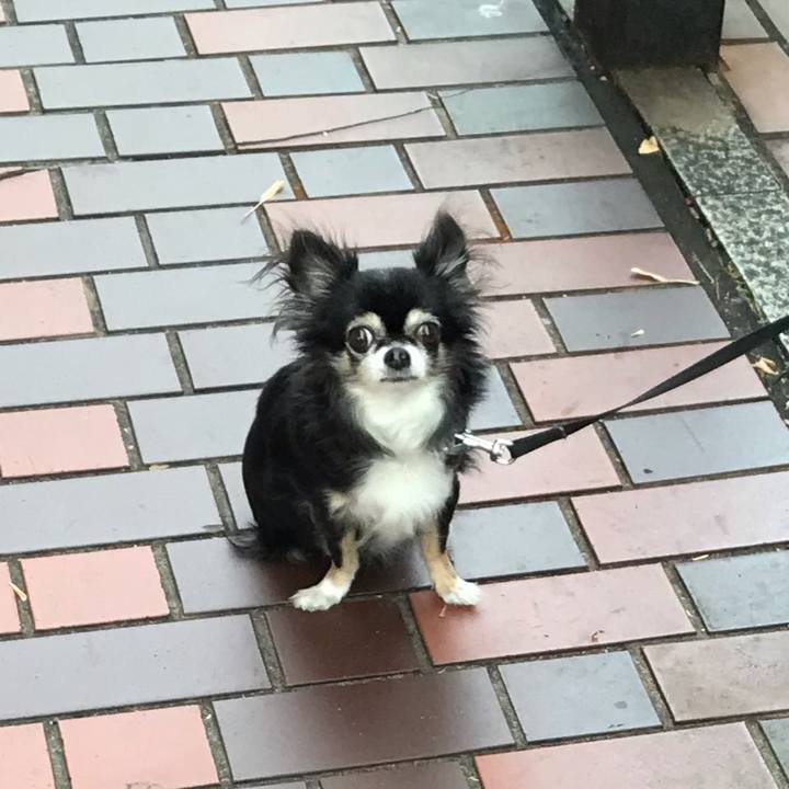 B7212eb9 c939 451c bc7a 62e1b2f7bf8e 1607840820972