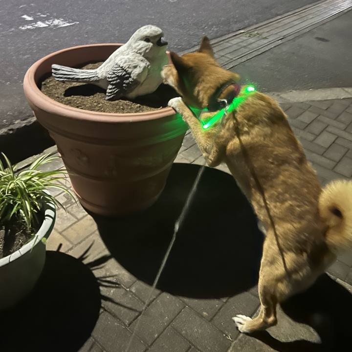 B72146f1 df3e 4b00 b47d d33426e24911 1724017316459