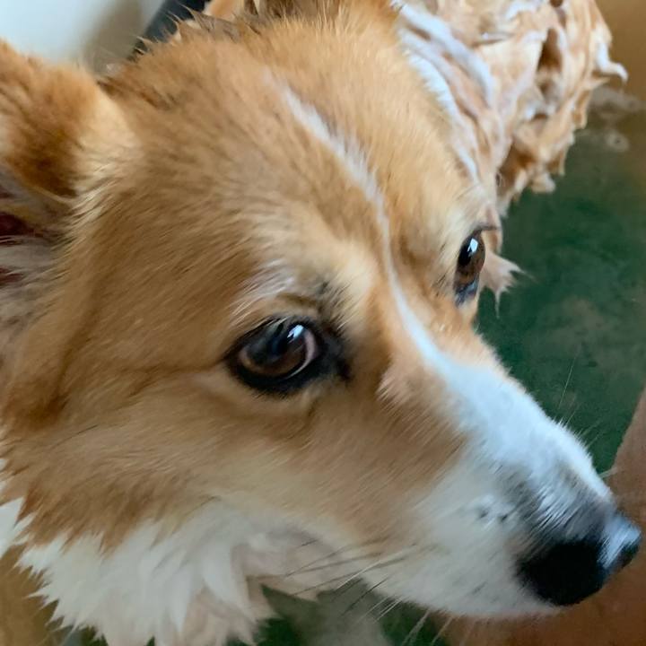 B7216511 c025 4e18 977d 4b6549408333 1635148342178