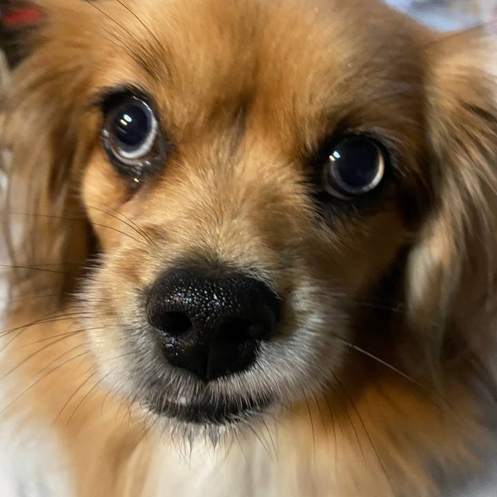 B72192af fccc 41a4 941c 492eec81539c 1638913444470