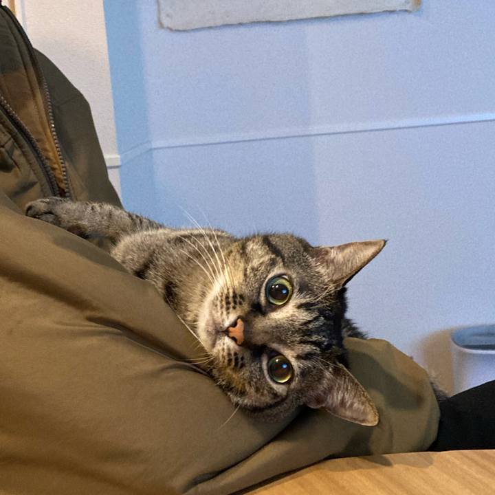 B721c2a6 8ad4 4044 ab25 9cff423de086 1616325373868