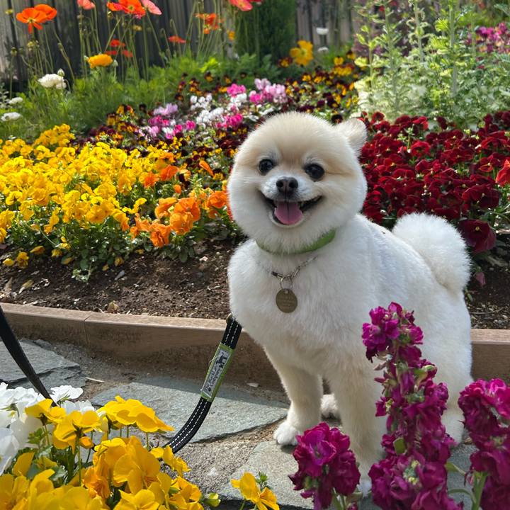 B721c7d0 2f7f 4440 b812 c10210b32aad 1743836118137