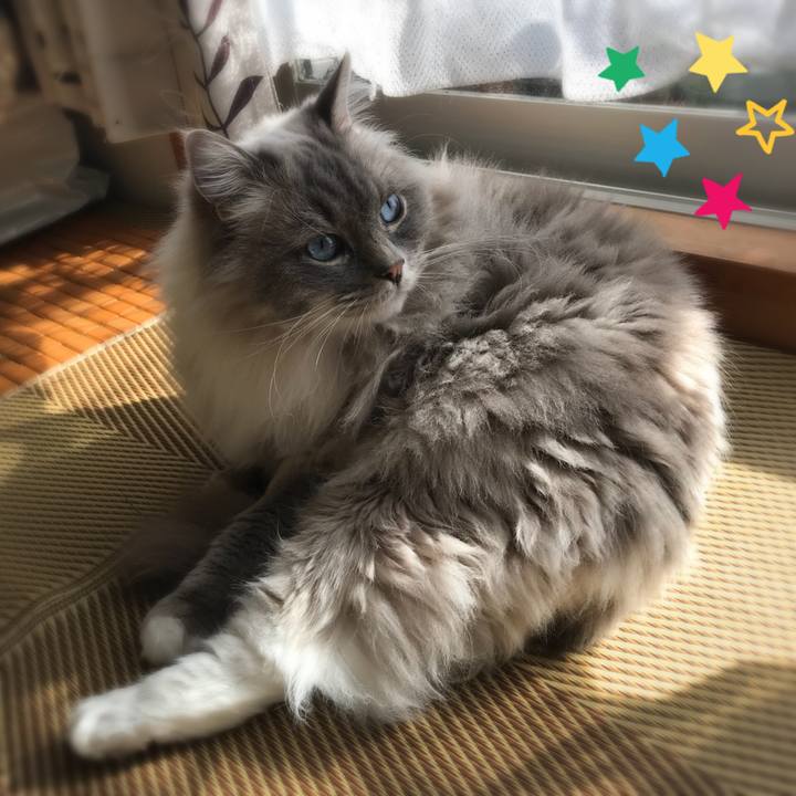 B72244af 744d 45b9 9445 4cbdf0da95fe 1519992284818