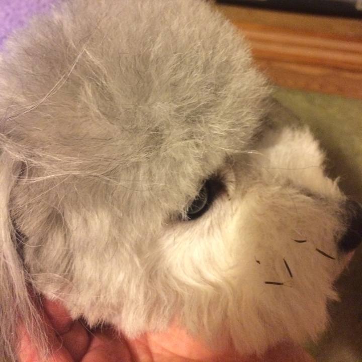 B722507c 47f0 4541 8b7c 09feedc169fa 1515759176972