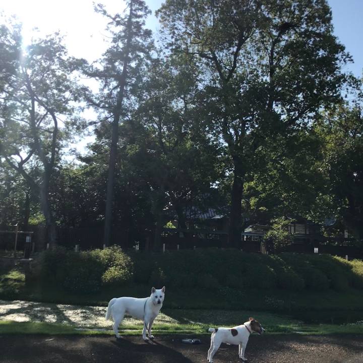 B7229a3a fcbd 46f8 9230 2c2579acf8ea 1527980150875