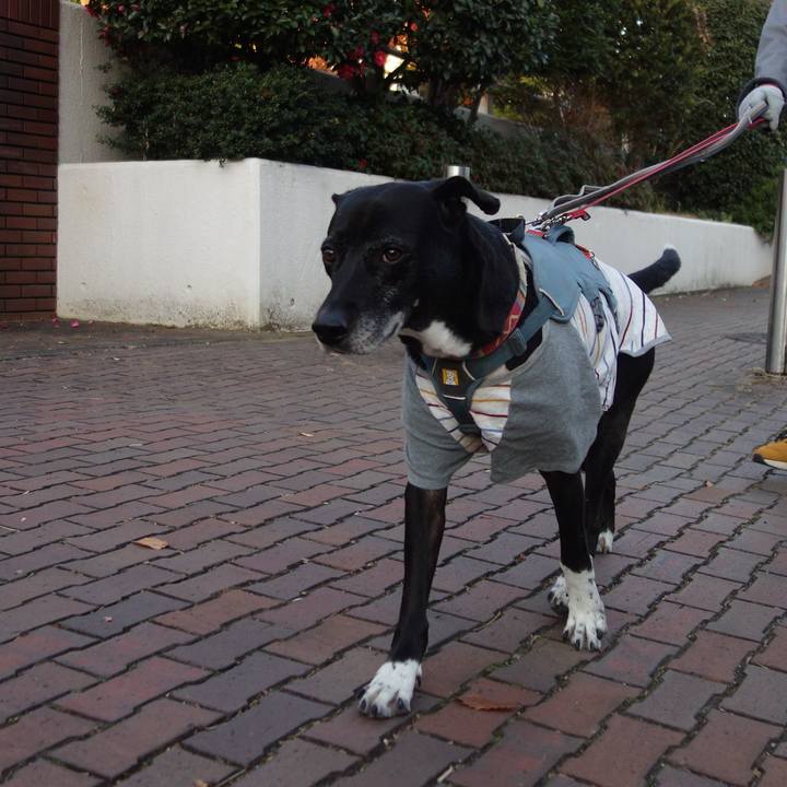 B722cc0f c23e 412f ac0c 9f285f8755eb 1734655009415