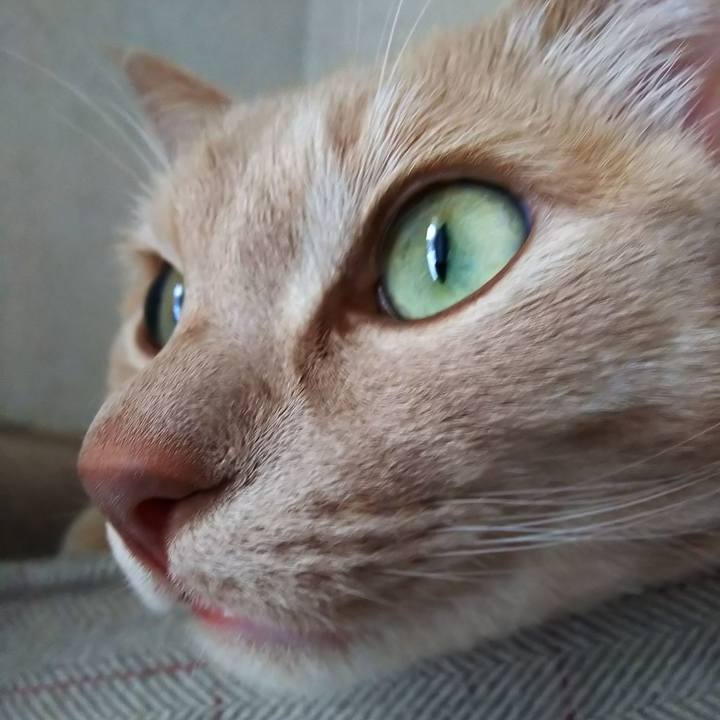 B722fdd2 1dcd 48a2 9bc3 ed091136ed49 1676109816555