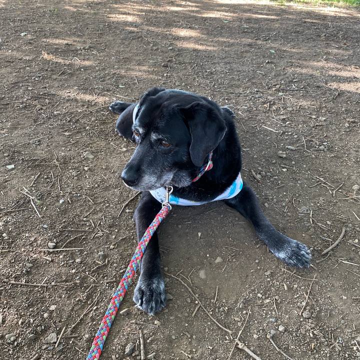 B7231f3f 53a0 4a12 96ed 552a9e11b2b8 1657179232270