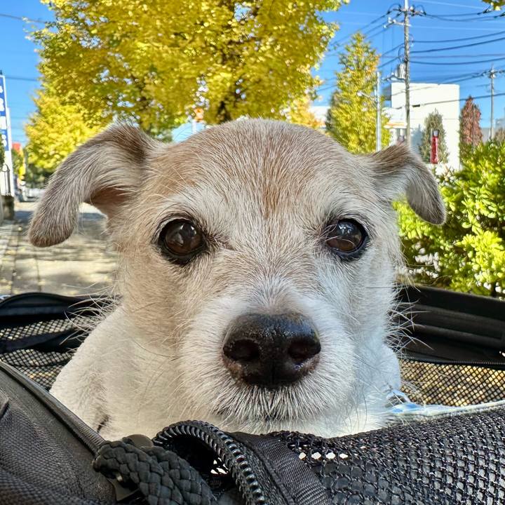 B723299d 58c2 44c9 af2c 513a70357ce8 1732256409568