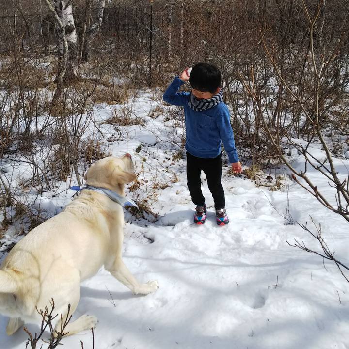 B7233868 ca85 4844 98a0 f8c18aeeba29 1582525387952