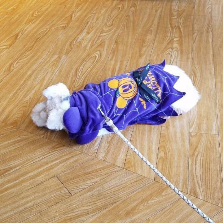 B7239eb1 0443 4b66 b870 33d88d256d50 1572525558381