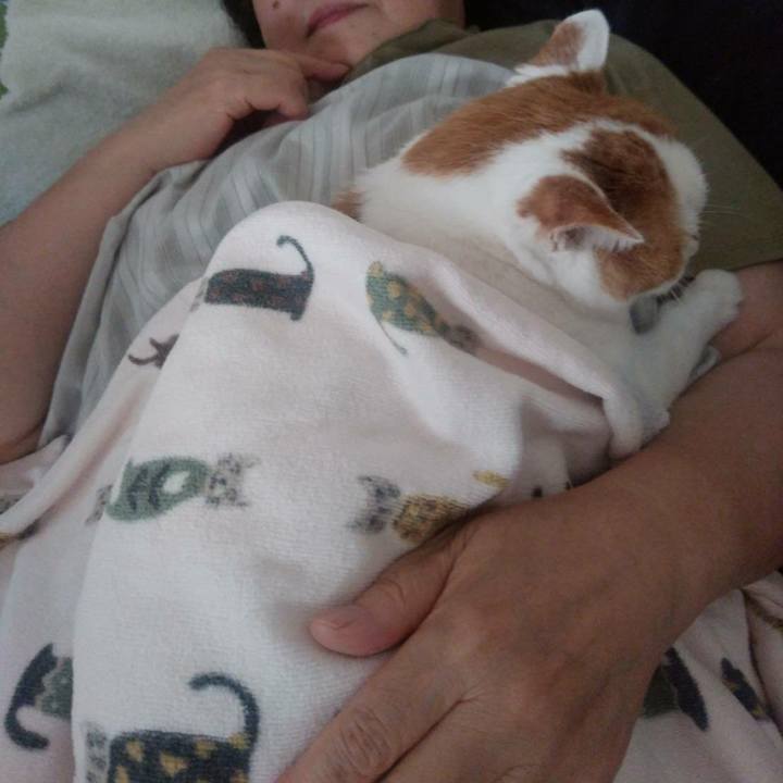 B723be74 1544 4ff5 8ecf 19a9e1162750 1564470745949