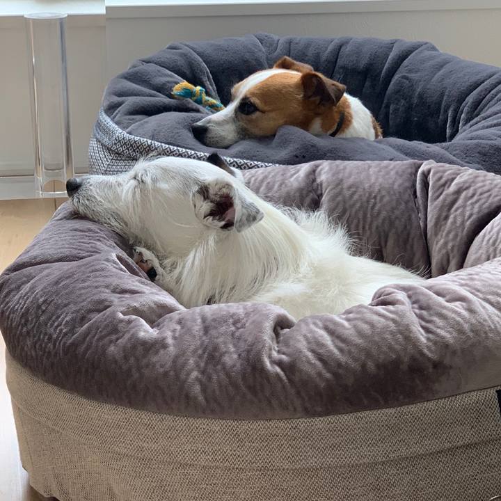 B723c5f6 5714 4478 86b8 5a047388db14 1588732649471