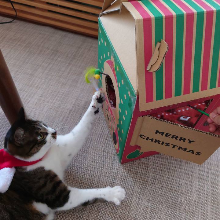 B72412c7 0c5d 4cae a980 b226b6a59c2c 1764651703264