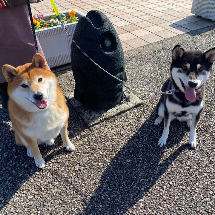 B7241cd3 84c9 49a3 b756 afe2d38a2a89 1606403138323