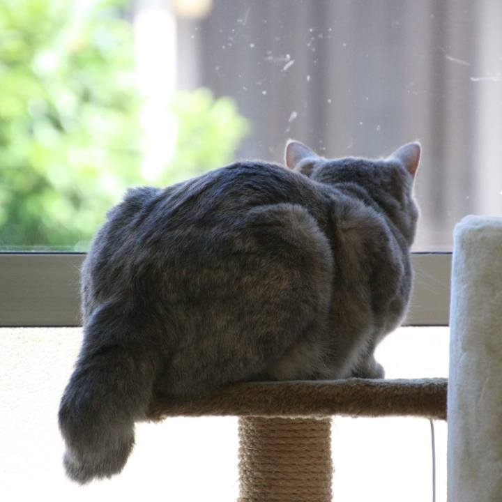 B7243e6c 3fd9 4f7d b43f e1f407fe3adf 1533085257086