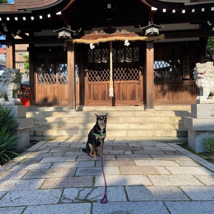 B7244f63 a98a 4b7b 9a05 1d7e9111d4e8 1622257169061