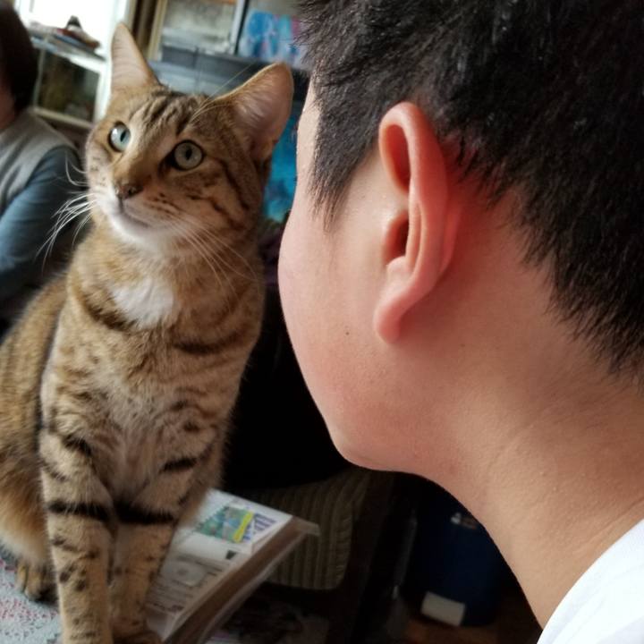 B724a7cd 2e18 4094 a55c 14e146e5254b 1609772807981