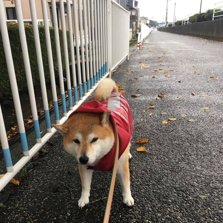 B725167e 666a 48d1 b9bb 969ef09356c6 1602305243107