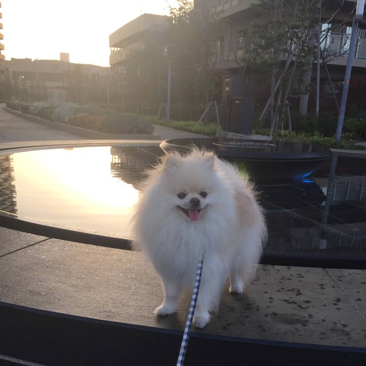 B7251fcf d374 4cf4 a5cd 962acad3014d 1524344230592