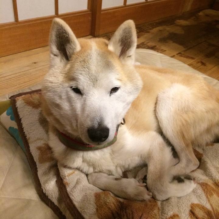 B7255774 8b84 4ee0 85e5 60c2349980f9 1576500742844