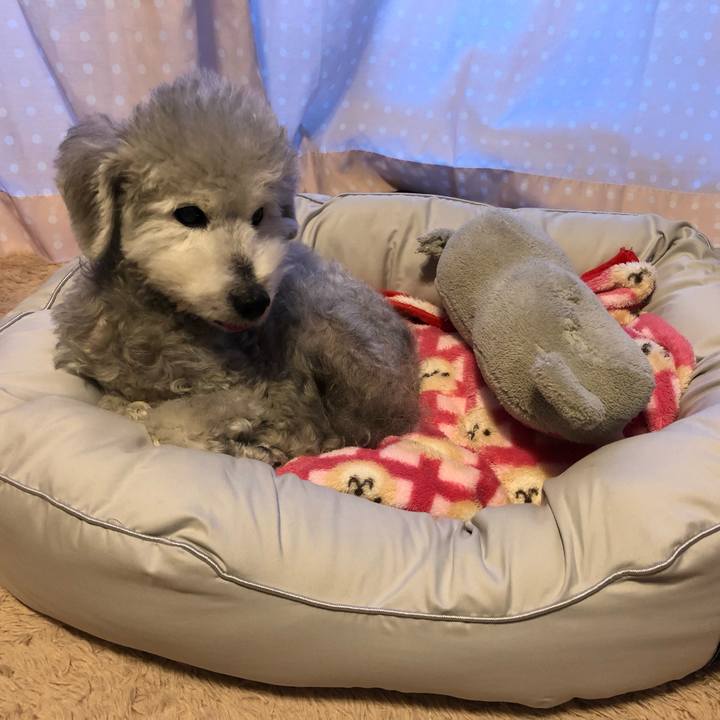 B725ac22 ef09 47d7 8418 f0a39339f194 1616842900301