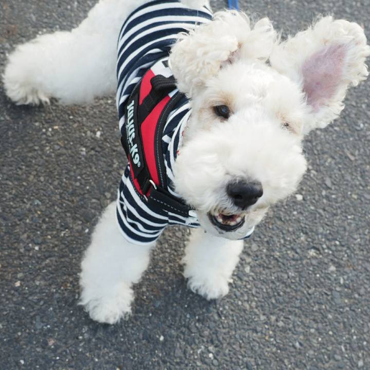 B725b800 4054 4cb2 b908 4208097f9502 1508749603769