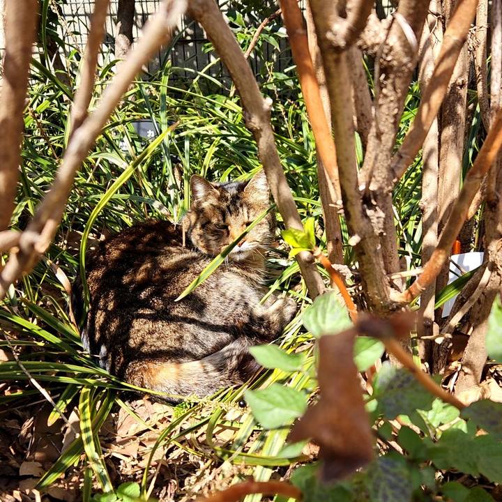 B725e8ca c2ac 4a37 9dac 8db1dd90bf9a 1710125586141