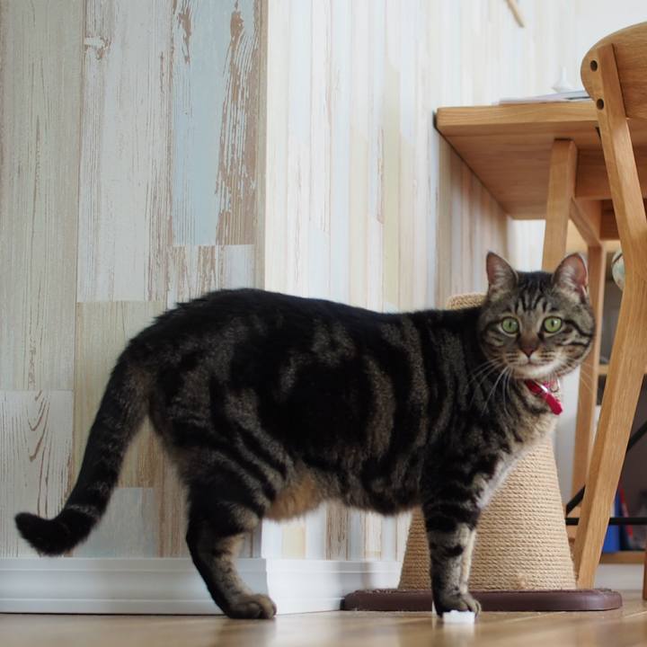 B7262f27 4078 4403 aecf 1e4743838801 1588651814159