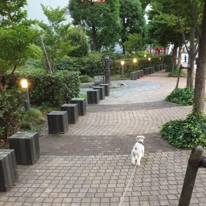 B7265bec 9165 4585 905c af8855963ed8 1531574143146