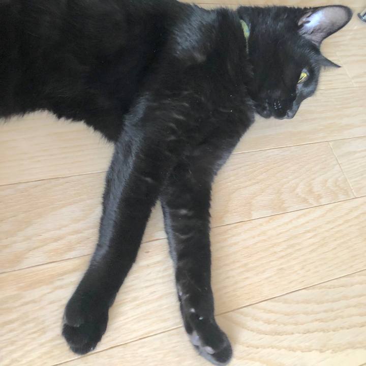 B726888b d0be 487b bfaf 96fd6260ddd8 1542719488242